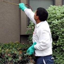 RESIDENTIAL AND COMMERCIAL PEST CONTROL SERVICES RESIDENTIAL AND COMMERCIAL PEST CONTROL SERVICES