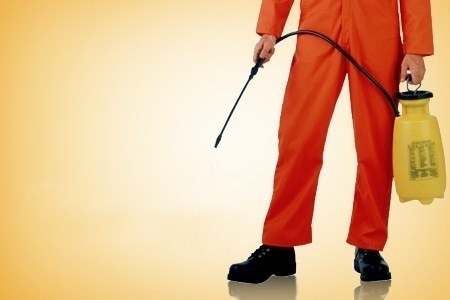 RESIDENTIAL AND COMMERCIAL PEST CONTROL SERVICES RESIDENTIAL AND COMMERCIAL PEST CONTROL SERVICES