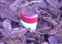 RESIDENTIAL AND COMMERCIAL PEST CONTROL SERVICES RESIDENTIAL AND COMMERCIAL PEST CONTROL SERVICES